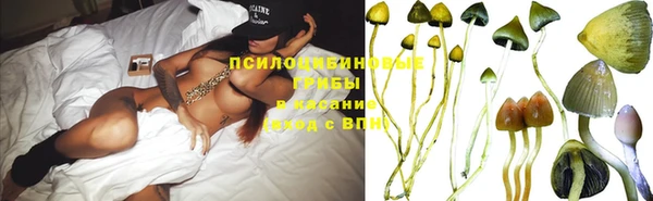 бутират Алзамай
