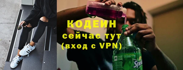 ПСИЛОЦИБИНОВЫЕ ГРИБЫ Алексин