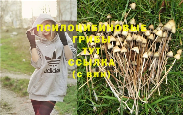 бутират Алзамай