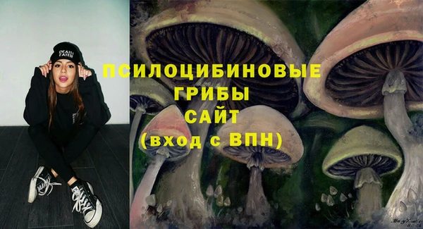 бутират Алзамай