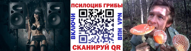 Псилоцибиновые грибы Psilocybe Сосновоборск
